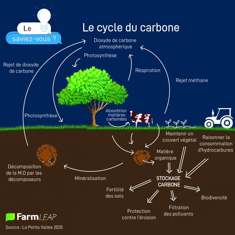 Le Cycle du Carbone en Agriculture tout comprendre farmleap — free download
